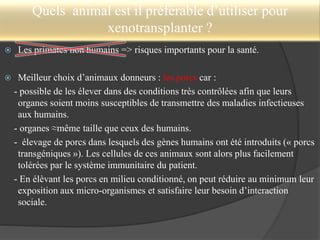 Quels animal est il préférable d’utiliser pour
xenotransplanter ?
 Les primates non humains => risques importants pour la santé.
 Meilleur choix d’animaux donneurs : les porcs car :
- possible de les élever dans des conditions très contrôlées afin que leurs
organes soient moins susceptibles de transmettre des maladies infectieuses
aux humains.
- organes ≈même taille que ceux des humains.
- élevage de porcs dans lesquels des gènes humains ont été introduits (« porcs
transgéniques »). Les cellules de ces animaux sont alors plus facilement
tolérées par le système immunitaire du patient.
- En élèvant les porcs en milieu conditionné, on peut réduire au minimum leur
exposition aux micro-organismes et satisfaire leur besoin d’interaction
sociale.
 