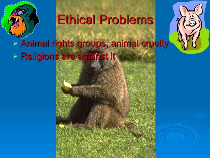 Xenotransplantation, Period 6