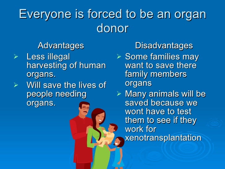 Xenotransplantation, Period 6