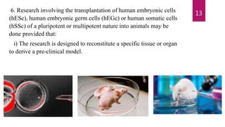 6. Research involving the transplantation of human embryonic cells
(hESc), human embryonic germ cells (hEGc) or human somatic cells
(hSSc) of a pluripotent or multipotent nature into animals may be
done provided that:
i) The research is designed to reconstitute a specific tissue or organ
to derive a pre-clinical model.
13
 