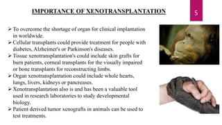 IMPORTANCE OF XENOTRANSPLANTATION
To overcome the shortage of organ for clinical implantation
in worldwide.
Cellular transplants could provide treatment for people with
diabetes, Alzheimer's or Parkinson's diseases.
Tissue xenotransplantation's could include skin grafts for
burn patients, corneal transplants for the visually impaired
or bone transplants for reconstructing limbs.
Organ xenotransplantation could include whole hearts,
lungs, livers, kidneys or pancreases.
Xenotransplantation also is and has been a valuable tool
used in research laboratories to study developmental
biology.
Patient derived tumor xenografts in animals can be used to
test treatments.
5
 