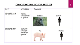CHOOSING THE DONOR SPECIES
TYPE BETWEEN EXAMPLE
CONCORDANT Closely
related/simil
ar species
Baboon Human
DISCORDANT Distantly
related/
dissimilar
species
Pig Human
6
 