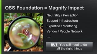 Neutrality / Perception
Support Infrastructure
Expertise / Mentoring
Vendor / People Network
…
BUT: You still need to do
all the right things
 