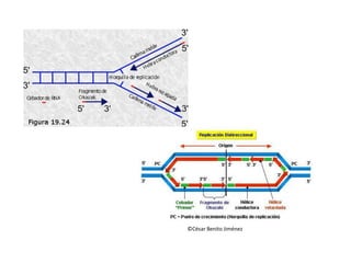 ©César Benito Jiménez
 