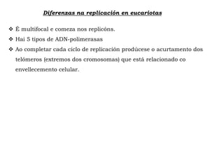 Diferenzas na replicación en eucariotas
 É multifocal e comeza nos replicóns.
 Hai 5 tipos de ADN-polimerasas
 Ao completar cada ciclo de replicación prodúcese o acurtamento dos
telómeros (extremos dos cromosomas) que está relacionado co
envellecemento celular.
 