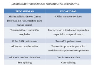 PROCARIOTAS EUCARIOTAS
ARNm policistrónicos (unha
molécula de RNA codifica para
varios xenes)
ARNm monocistrónicos
Transcrición e tradución
acopladas
Transcrición e tradución separadas
espacial e temporalmente
Unha ARN polimerasa Tres ARN polimerasas
ARNm sen maduración Transcrito primario que sofre
modificacións post-transcripcionais
ARN sen intróns nin exóns Con intróns e exóns
Sen splicing Con splicing
DIFERENZAS TRANSCRICIÓN PROCARIOTAS-EUCARIOTAS
 