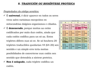 8. TRADUCIÓN OU BIOSÍNTESE PROTEICA
Propiedades do código xenético:
 É universal, é dicir aparece en todos os seres
vivos salvo rarísimas excepcións en
mitocondrias dalgúns organismos e ciliados.
 É dexenerado, porque moitos aa están
codificados por máis dun codón, aínda que
cada codón codifica para un só aa. Estos
tripletes difiren nun só nt. Se só houbera 20
tripletes traducibles quedarían 44 (64-20) sen
sentido e un simple erro tería moitas
posibilidades de converterse nun codón sen
sentido que detendría a síntese proteica.
 Non é solapado, cada triplete codifica un
codón.
 