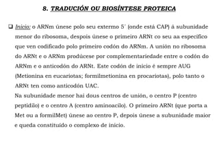 8. TRADUCIÓN OU BIOSÍNTESE PROTEICA
 Inicio: o ARNm únese polo seu extermo 5´ (onde está CAP) á subunidade
menor do ribosoma, despois únese o primeiro ARNt co seu aa específico
que ven codificado polo primeiro codón do ARNm. A unión no ribosoma
do ARNt e o ARNm prodúcese por complementariedade entre o codón do
ARNm e o anticodón do ARNt. Este codón de inicio é sempre AUG
(Metionina en eucariotas; formilmetionina en procariotas), polo tanto o
ARNt ten como anticodón UAC.
Na subunidade menor hai dous centros de unión, o centro P (centro
peptidilo) e o centro A (centro aminoacilo). O primeiro ARNt (que porta a
Met ou a formilMet) únese ao centro P, depois únese a subunidade maior
e queda constituído o complexo de inicio.
 