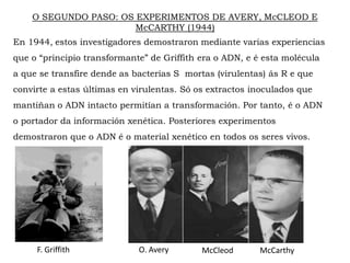 O SEGUNDO PASO: OS EXPERIMENTOS DE AVERY, McCLEOD E
McCARTHY (1944)
En 1944, estos investigadores demostraron mediante varias experiencias
que o “principio transformante” de Griffith era o ADN, e é esta molécula
a que se transfire dende as bacterias S mortas (virulentas) ás R e que
convirte a estas últimas en virulentas. Só os extractos inoculados que
mantiñan o ADN intacto permitían a transformación. Por tanto, é o ADN
o portador da información xenética. Posteriores experimentos
demostraron que o ADN é o material xenético en todos os seres vivos.
F. Griffith O. Avery McCleod McCarthy
 