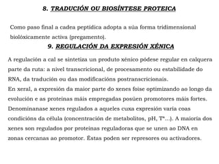 8. TRADUCIÓN OU BIOSÍNTESE PROTEICA
Como paso final a cadea peptídica adopta a súa forma tridimensional
biolóxicamente activa (pregamento).
9. REGULACIÓN DA EXPRESIÓN XÉNICA
A regulación a cal se sintetiza un produto xénico pódese regular en calquera
parte da ruta: a nivel transcricional, de procesamento ou estabilidade do
RNA, da tradución ou das modificacións postranscricionais.
En xeral, a expresión da maior parte do xenes foise optimizando ao longo da
evolución e as proteínas máis empregadas posúen promotores máis fortes.
Denomínanase xenes regulados a aqueles cuxa expresión varía coas
condicións da célula (concentración de metabolitos, pH, Tª...). A maioría dos
xenes son regulados por proteínas reguladoras que se unen ao DNA en
zonas cercanas ao promotor. Éstas poden ser represores ou activadores.
 