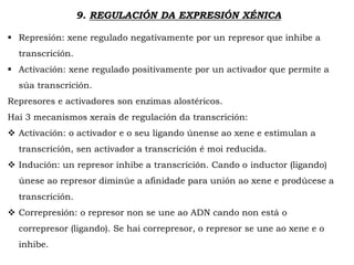 9. REGULACIÓN DA EXPRESIÓN XÉNICA
 Represión: xene regulado negativamente por un represor que inhibe a
transcrición.
 Activación: xene regulado positivamente por un activador que permite a
súa transcrición.
Represores e activadores son enzimas alostéricos.
Hai 3 mecanismos xerais de regulación da transcrición:
 Activación: o activador e o seu ligando únense ao xene e estimulan a
transcrición, sen activador a transcrición é moi reducida.
 Indución: un represor inhibe a transcrición. Cando o inductor (ligando)
únese ao represor diminúe a afinidade para unión ao xene e prodúcese a
transcrición.
 Correpresión: o represor non se une ao ADN cando non está o
correpresor (ligando). Se hai correpresor, o represor se une ao xene e o
inhibe.
 