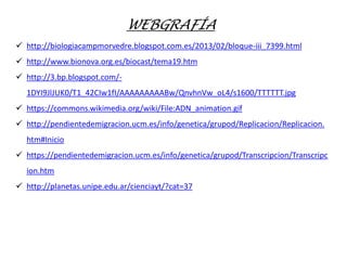WEBGRAFÍA
 http://biologiacampmorvedre.blogspot.com.es/2013/02/bloque-iii_7399.html
 http://www.bionova.org.es/biocast/tema19.htm
 http://3.bp.blogspot.com/-
1DYI9JlJUK0/T1_42CIw1fI/AAAAAAAAABw/QnvhnVw_oL4/s1600/TTTTTT.jpg
 https://commons.wikimedia.org/wiki/File:ADN_animation.gif
 http://pendientedemigracion.ucm.es/info/genetica/grupod/Replicacion/Replicacion.
htm#Inicio
 https://pendientedemigracion.ucm.es/info/genetica/grupod/Transcripcion/Transcripc
ion.htm
 http://planetas.unipe.edu.ar/cienciayt/?cat=37
 