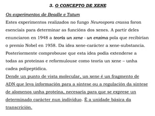 Os experimentos de Beadle e Tatum
Estes experimentos realizados no fungo Neurospora crassa foron
esenciais para determinar as funcións dos xenes. A partir deles
enunciaron en 1948 a teoría un xene - un enzima pola que recibirían
o premio Nobel en 1958. Da idea xene-carácter a xene-substancia.
Posteriormente comprobouse que esta idea podía extenderse a
todas as proteínas e reformulouse como teoría un xene – unha
cadea polipeptídica.
Dende un punto de vista molecular, un xene é un fragmento de
ADN que leva información para a síntese ou a regulación da síntese
de alomenos unha proteína, necesaria para que se exprese un
determinado carácter nun individuo. É a unidade básica da
transcrición.
3. O CONCEPTO DE XENE
 