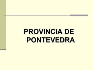 PROVINCIA DE PONTEVEDRA 