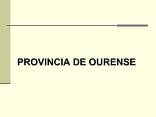PROVINCIA DE OURENSE 