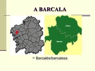 A BARCALA Barcalés/barcalesa 