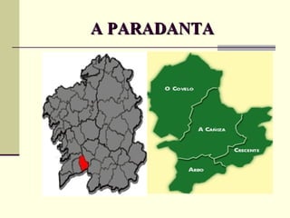 A PARADANTA 