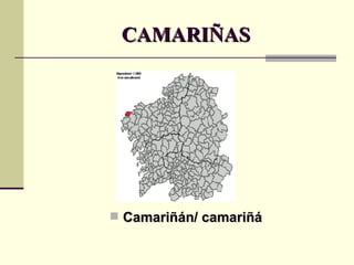 CAMARIÑAS Camariñán/ camariñá 