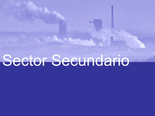 Sector Secundario

 