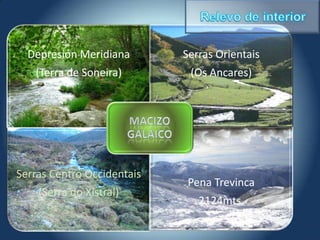 Depresión Meridiana       Serras Orientais
   (Terra de Soneira)        (Os Ancares)




Serras Centro Occidentais
                             Pena Trevinca
    (Serra do Xistral)
                               2124mts.
 