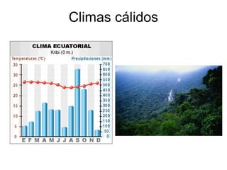 Climas cálidos

 