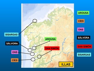 ILLAS AROUSA AROUSA CÍES CÍES ONS ONS SÁLVORA SÁLVORA SISARGAS SISARGAS SAN SIMÓN SAN SIMÓN 