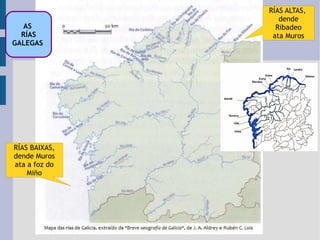 RÍAS ALTAS,  dende Ribadeo ata Muros RÍAS BAIXAS, dende Muros ata a foz do Miño AS  RÍAS GALEGAS   