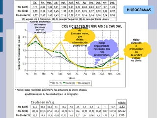 Maiores enchentas de inverno (reximes pluviais oceánicos) Segundo pico do Limia en maio, que delata alimentación pluvio-nival Maior duración e pronunciación da aridez estival no Limia Maior regularidade no caudal dos ríos setentrionais HIDROGRAMAS 