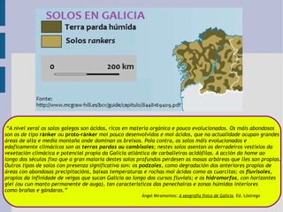 “ A nivel xeral os solos galegos son ácidos, ricos en materia orgánica e pouco evolucionados. Os máis abondosos  son os de tipo   ránker   ou  proto-ránker  moi pouco desenvolvidos e moi ácidos, que na actualidade ocupan grandes  áreas de alta e media montaña onde dominan os breixos. Pola contra, os solos máis evolucionados e  edaficamente climácicos son as  terras pardas   ou cambisoles ; nestes solos asentan os derradeiros vestixios da  vexetación climácica e potencial propia da Galicia atlántica de carballeiras acidófilas. A acción do home ao  longo dos séculos fixo que a gran maioría destes solos profundos perdesen as masas arbóreas que lles son propias. Outros tipos de solos con presenza significativa son: os  podzoles , como degradación dos anteriores propios de áreas con abondosas precipitacións, baixas temperaturas e rochas moi ácidas como as cuarcitas; os  fluvisoles , propios da infinidade de veigas que sucan Galicia ao longo dos cursos fluviais; e os  hidromorfos , con horizontes  glei (ou cun manto permanente de auga), tan característicos das penechairas e zonas húmidas interiores  como brañas e gándaras.” Ángel Miramontes:  A xeografía física de Galicia . Ed. Lóstrego 