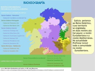 Galicia  pertence ao Reino Holártico, cuxo territorio  se englobaba en dúas rexións ata  hai pouco: a rexión  Eurosiberiana e a  rexión Mediterránea.  Na actualidade  Prefírese incluír  toda a comunidade na rexión  Eurosiberiana.  
