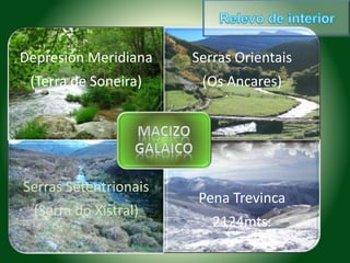 Depresión Meridiana 
(Terra de Soneira) 
Serras Orientais 
(Os Ancares) 
Serras Setentrionais 
(Serra do Xistral) 
Pena Trevinca 
2124mts. 
 