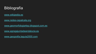 Bibliografía
www.wikipedia.es
www.redes-cepalcala.org
www.geomorfologia4ep.blogspot.com.es
www.agregajuntadeandalucia.es
www.geografia.laguia2000.com
 