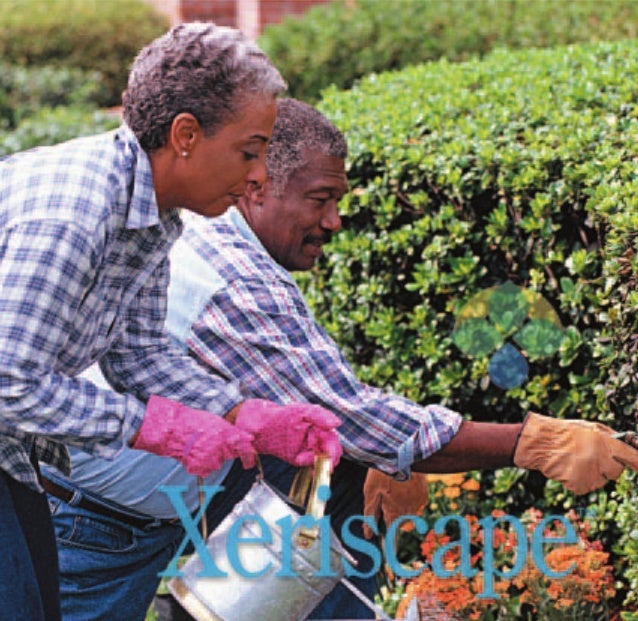 xeriscape drought proof your yard and still be the envy xeriscape drought proof your yard and still be the envy