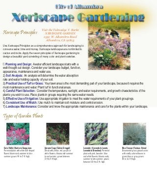 Visit the Talmadge V. Burke
Xeriscape Principles                        XERISCAPE GARDEN
                                          1550 W. Alhambra Road
                                             Alhambra, CA 91803
Use Xeriscape Principles as a comprehensive approach for landscaping to
conserve water, time and money. Xeriscape landscapes are not limited to
cactus and rocks. Apply the seven principles of Xeriscape gardening to
design a beautiful yard consisting of many color and plant varieties.

1) Planning and Design: A water efficient landscape starts with a
well-thought out design. Consider your landscape budget, function,
appearance, maintenance and water use.
2) Soil Analysis: An analysis will determine the water absorption
rate and water holding capacity of your soil.
3) Practical Use of Turf or Grass: Your lawn area is the most demanding part of your landscape, because it requires the
most maintenance and water. Plant turf in functional areas.
4) Careful Plant Selection: Consider the temperature, sunlight, and water requirements, and growth characteristics of the
plants you wish to use. Place plants in groups requiring the same water needs.
5) Effective Use of Irrigation: Use appropriate irrigation to meet the water requirements of your plant groupings.
6) Consistent Use of Mulch: Use mulch to maintain soil moisture and control erosion.
7) Landscape Maintenance: Consider and know the appropriate maintenance and care for the plants within your landscape.


Types of Garden Plants




Coral Bells (Huchera Sanguinea             Autumn Sage (Salvia Greggii)        Lavender (Lavandula Lanata,       Blue Fescue (Festuca Ovina)
Perennial plant with white bell-shaped     Shrub with yellow, red, purple or   Lavandula Stoechas) Perennial     Ornamental grass ground cover
flower; bloom early summer to late         white flowers; blooms mid-summer    plant with pink, lavender, blue   with vividly colored leaves in
summer; grows 1-ft to 2-ft. high.          to early winter; grows between      and white flowers; blooms early   green, blue or gray; grows
                                           3-ft to 4-ft high.                  summer to late summer, grows      10-in. to 1-ft high.
                                                                               between 1.6-ft to 3-ft. high.
 