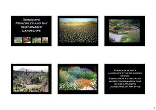 Xeriscape
Principles and the
   Sustainable
    Landscape




                         Xeriscape is not a
                     landscape style or garden
                               design.
                      Xeriscape is a concept of
                      water conservation that
                          may be applied to
                      landscapes of any style




                                                  1
 