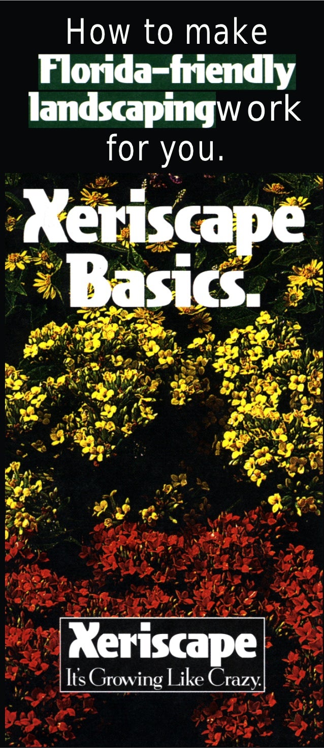 Xeriscape Basics How to Make Florida Friendly Landscaping Work for You