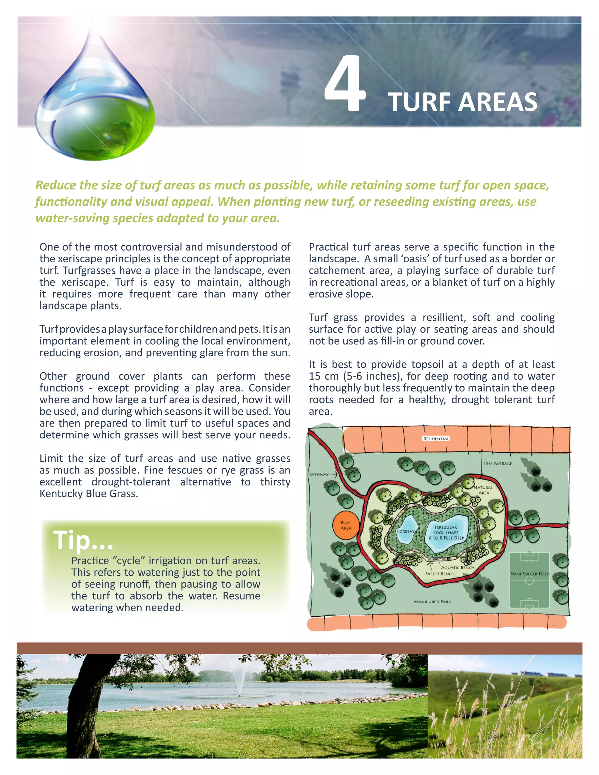 4             TURF AREAS

Reduce the size of turf areas as much as possible, while retaining some turf for open space,
functionality and visual appeal. When planting new turf, or reseeding existing areas, use
water-saving species adapted to your area.

One of the most controversial and misunderstood of             Practical turf areas serve a specific function in the
the xeriscape principles is the concept of appropriate         landscape. A small ‘oasis’ of turf used as a border or
turf. Turfgrasses have a place in the landscape, even          catchement area, a playing surface of durable turf
the xeriscape. Turf is easy to maintain, although              in recreational areas, or a blanket of turf on a highly
it requires more frequent care than many other                 erosive slope.
landscape plants.
                                                               Turf grass provides a resillient, soft and cooling
Turf provides a play surface for children and pets. It is an   surface for active play or seating areas and should
important element in cooling the local environment,            not be used as fill-in or ground cover.
reducing erosion, and preventing glare from the sun.
                                                               It is best to provide topsoil at a depth of at least
Other ground cover plants can perform these                    15 cm (5-6 inches), for deep rooting and to water
functions - except providing a play area. Consider             thoroughly but less frequently to maintain the deep
where and how large a turf area is desired, how it will        roots needed for a healthy, drought tolerant turf
be used, and during which seasons it will be used. You         area.
are then prepared to limit turf to useful spaces and
determine which grasses will best serve your needs.

Limit the size of turf areas and use native grasses
as much as possible. Fine fescues or rye grass is an
excellent drought-tolerant alternative to thirsty
Kentucky Blue Grass.



   Tip...
       Practice “cycle” irrigation on turf areas.
       This refers to watering just to the point
       of seeing runoff, then pausing to allow
       the turf to absorb the water. Resume
       watering when needed.
 