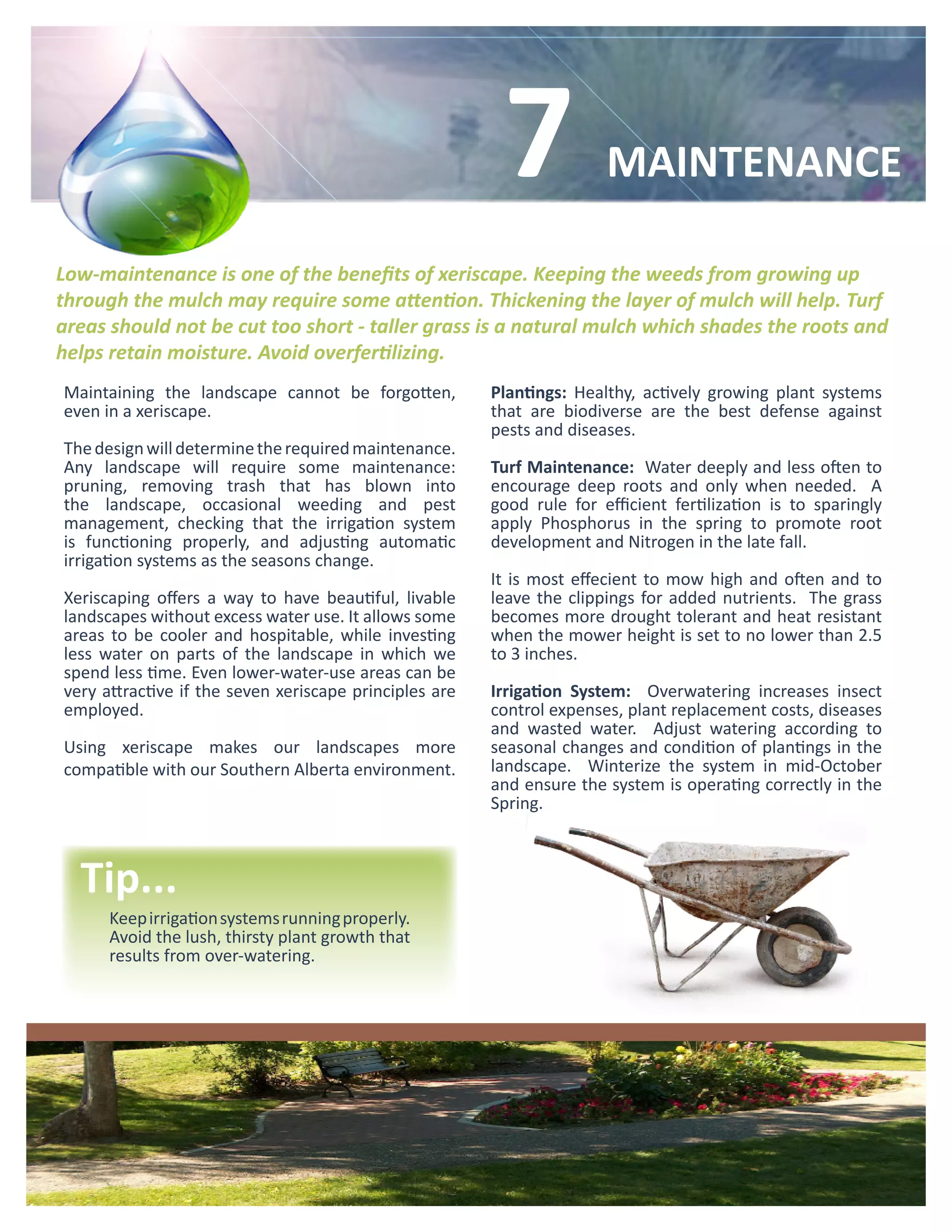 7             MAINTENANCE

Low-maintenance is one of the benefits of xeriscape. Keeping the weeds from growing up
through the mulch may require some attention. Thickening the layer of mulch will help. Turf
areas should not be cut too short - taller grass is a natural mulch which shades the roots and
helps retain moisture. Avoid overfertilizing.
Maintaining the landscape cannot be forgotten,          Plantings: Healthy, actively growing plant systems
even in a xeriscape.                                    that are biodiverse are the best defense against
                                                        pests and diseases.
The design will determine the required maintenance.
Any landscape will require some maintenance:            Turf Maintenance: Water deeply and less often to
pruning, removing trash that has blown into             encourage deep roots and only when needed. A
the landscape, occasional weeding and pest              good rule for efficient fertilization is to sparingly
management, checking that the irrigation system         apply Phosphorus in the spring to promote root
is functioning properly, and adjusting automatic        development and Nitrogen in the late fall.
irrigation systems as the seasons change.
                                                        It is most effecient to mow high and often and to
Xeriscaping offers a way to have beautiful, livable     leave the clippings for added nutrients. The grass
landscapes without excess water use. It allows some     becomes more drought tolerant and heat resistant
areas to be cooler and hospitable, while investing      when the mower height is set to no lower than 2.5
less water on parts of the landscape in which we        to 3 inches.
spend less time. Even lower-water-use areas can be
very attractive if the seven xeriscape principles are   Irrigation System: Overwatering increases insect
employed.                                               control expenses, plant replacement costs, diseases
                                                        and wasted water. Adjust watering according to
Using xeriscape makes our landscapes more               seasonal changes and condition of plantings in the
compatible with our Southern Alberta environment.       landscape. Winterize the system in mid-October
                                                        and ensure the system is operating correctly in the
                                                        Spring.



  Tip...
      Keep irrigation systems running properly.
      Avoid the lush, thirsty plant growth that
      results from over-watering.
 