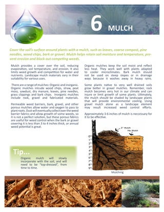 6            MULCH

Cover the soil’s surface around plants with a mulch, such as leaves, coarse compost, pine
needles, wood chips, bark or gravel. Mulch helps retain soil moisture and temperature, pre-
vent erosion and block out competing weeds.
Mulch provides a cover over the soil, reducing            Organic mulches keep the soil moist and reflect
evaporation, soil temperature, and erosion. It also       less heat. They work well with plants adapted
limits weed growth and competition for water and          to cooler microclimates. Bark mulch should
nutrients. Landscape mulch materials vary in their        not be used on steep slopes or in drainage
suitability for various uses.                             ways because it washes away in heavy rains.

 There are a range of mulches: Organic and inorganic.     Some plants native to very well drained soils
Organic mulches inlcude wood chips, straw, peat           grow better in gravel mulches. Remember, rock
moss, sawdust, dry manure, leaves, pine needles,          mulch becomes very hot in our climate and can
grass clippings and bark chips. Inorganic mulches         injure or limit growth of some plants. Ultimately,
include rock, gravel and fabricated materials.            the mulch should be shaded by landscape plants
                                                          that will provide environmental cooling. Using
Permeable weed barriers, bark, gravel, and other          gravel mulch alone as a landscape element
porous mulches allow water and oxygen to pass to          may result increased weed control efforts.
plant roots. Dust will eventually collect over the weed
barrier fabrics and allow growth of some weeds, so        Approximately 3-6 inches of mulch is neccessary for
it is not a perfect solution, but these porous fabrics    it to be effective.
are useful for weed control when the bark or gravel
covering it is less than 3 to 4 inches thick, or annual
weed potential is great.




  Tip...
        Organic    mulch    will     slowly
        incorporate with the soil, and will
        need to be “top-dressed”, from
        time to time.
                                                                              Mulching
 