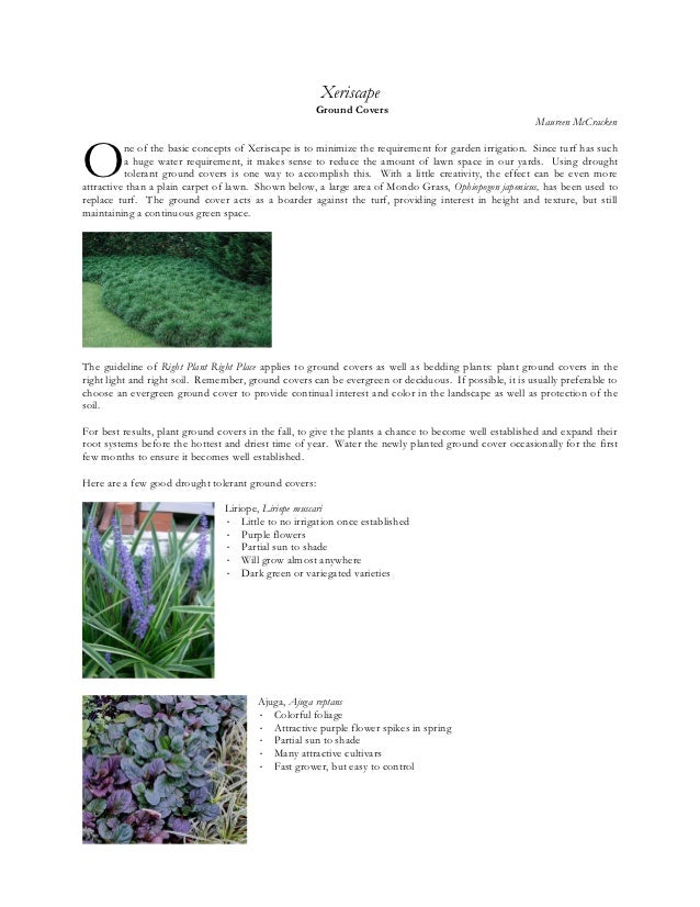 Xeriscape Ground Covers Mecklenburg County, North Carolina