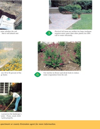mine whether the soil                                     Practical turf areas are neither too large (turfgrass
 that it will absorb and                         3        requires more water than other plants) nor diffi-
                                                          cult to water efficiently.




ave 30 to 50 percent of the                 Use mulches in flower and shrub beds to reduce
ge home.                             6      water evaporation from the soil.




e preserves the landscape’s
water. Prune, weed, fertil-
l pests properly.


epartment or county Extension agent for more information.
 