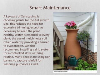Smart Maintenance
A key part of Xeriscaping is
choosing plants for the full growth
size, this reduces the need for
excessive trimming, except as
necessary to keep the plant
healthy. Water is essential to every
plant, the use of mulch helps soil
retain water by providing a barrier
to evaporation. We also
recommend installing a drip system
for a controlled slow watering
routine. Many people are using rain
barrels to capture rainfall for
watering purposes as well.

 