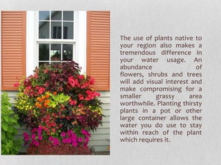 The use of plants native to
your region also makes a
tremendous difference in
your water usage. An
abundance
of
flowers, shrubs and trees
will add visual interest and
make compromising for a
smaller
grassy
area
worthwhile. Planting thirsty
plants in a pot or other
large container allows the
water you do use to stay
within reach of the plant
which requires it.

 