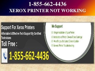 1-855-662-4436
XEROX PRINTER NOT WORKING
 