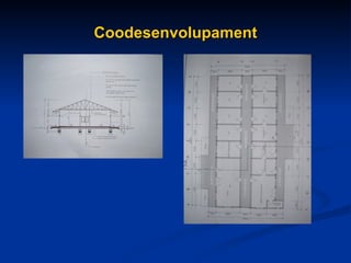 Coodesenvolupament 