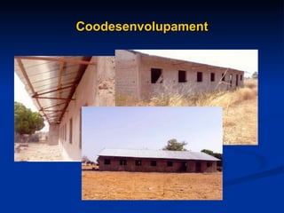 Coodesenvolupament 