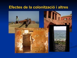 Efectes de la colonització i altres 