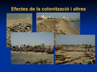Efectes de la colonització i altres 