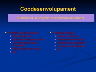 Coodesenvolupament Població dels nouvinguts. Millora integració.  Ajuda als nouvinguts recents. Evita l’arribada d’altres nouvinguts  Millora condicions de vida. Etc. Població d’origen. Millora convivencia. Enriquiment del municipi. Desapareixent estereotips Es creen noves relacions. Etc. Beneficis d’un projecte de coodesenvolupament  