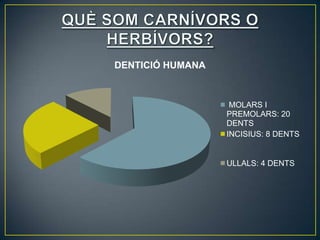 DENTICIÓ HUMANA



                   MOLARS I
                  PREMOLARS: 20
                  DENTS
                  INCISIUS: 8 DENTS


                  ULLALS: 4 DENTS
 